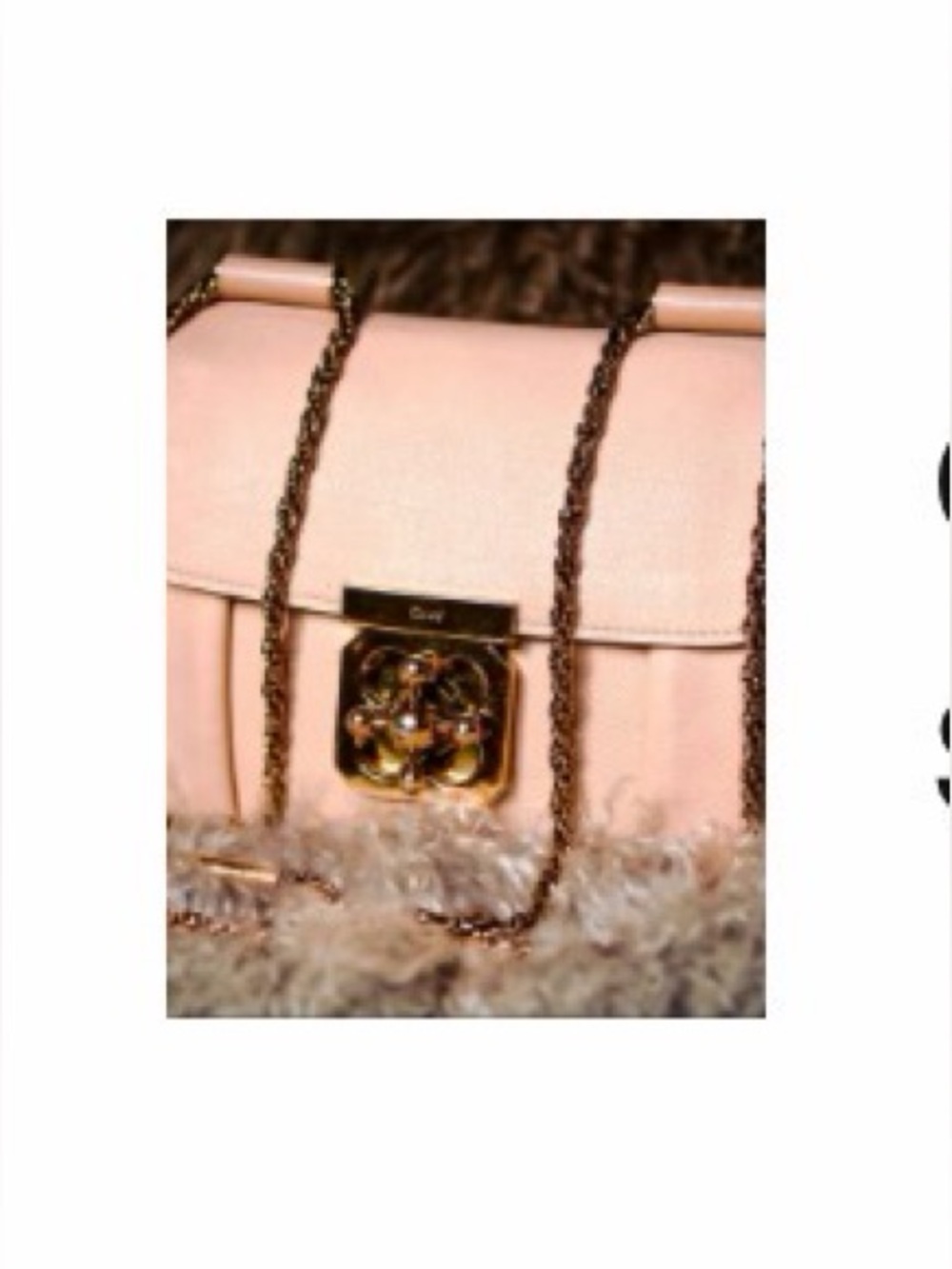 CHLOE Goatskin Medium Elsie Shoulder Bag